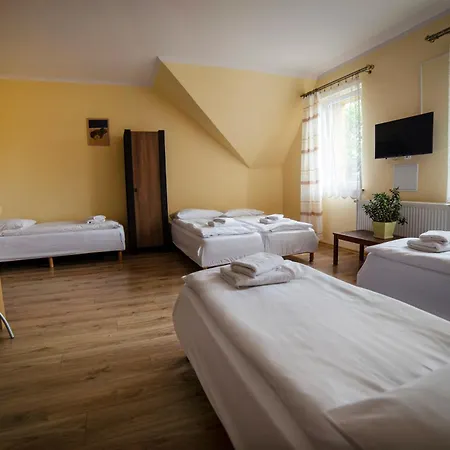 Gosciniec Zaborze W Sercu Gornego Slaska - Guest house 3*