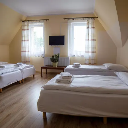 Guest house Gosciniec Zaborze W Sercu Gornego Slaska - 3*