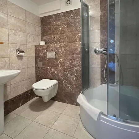 Gosciniec Zaborze W Sercu Gornego Slaska - Guest house 3*