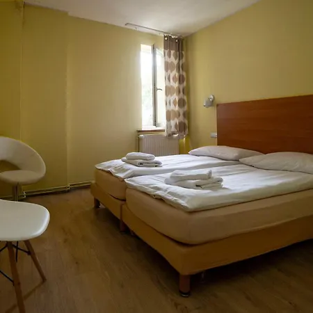 Gosciniec Zaborze W Sercu Gornego Slaska - Guest house 3*