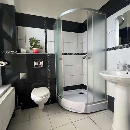 Gosciniec Zaborze W Sercu Gornego Slaska - 3*