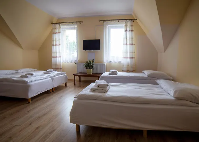 Pensjonat Zaborze W Sercu Górnego śląska - 3*