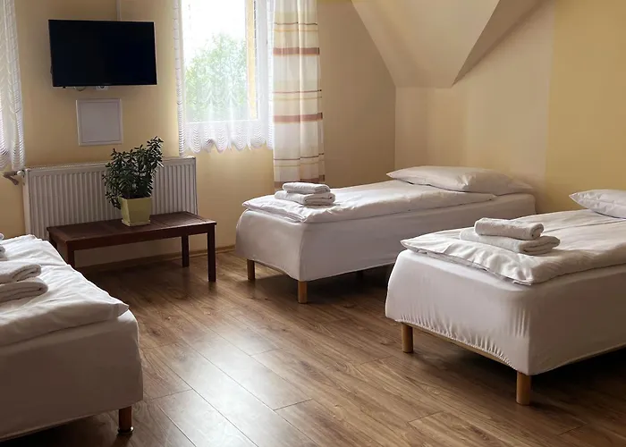 Gosciniec Zaborze W Sercu Gornego Slaska -