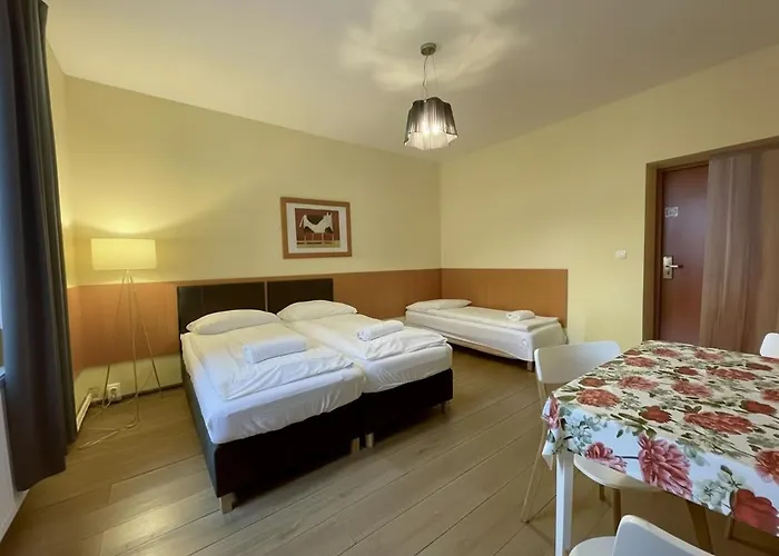 Pensjonat Zaborze W Sercu Górnego śląska - Zabrze