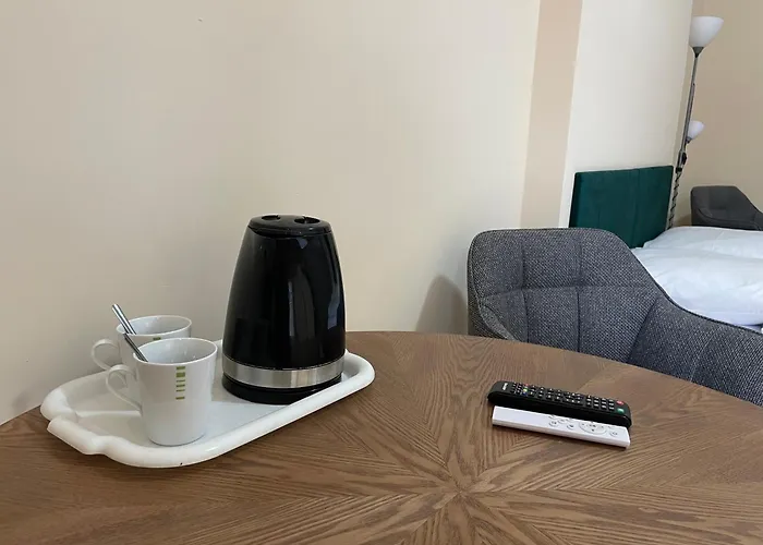 Gosciniec Zaborze W Sercu Gornego Slaska - Penzion